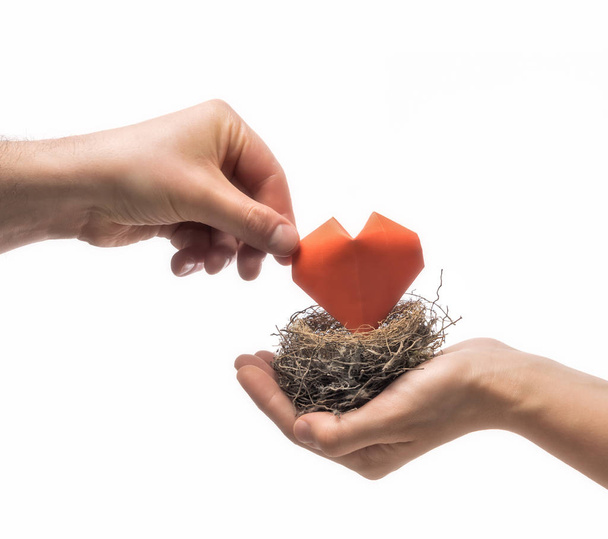Bird nest with red heart in woman and man hands. Image on isolated white background. Concept of love, marital bliss. Image. - Photo, Image