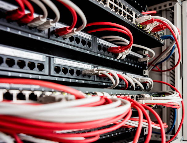 Network switch and ethernet cables in red and white colors - Foto, Imagen