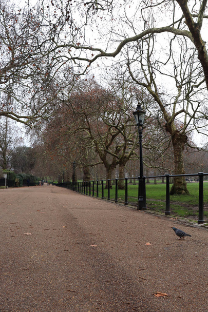 Caminho pedestre ao lado do St. James 'Park em Westminster, Inglaterra. Um dos 8 Parques Reais de Londres
.  - Foto, Imagem