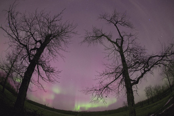 aurores boréales - Photo, image