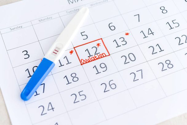Θετικό τεστ εγκυμοσύνης με κυκλική ημερομηνία στο ημερολόγιο. Σχεδιασμός της εγκυμοσύνης, προσπαθεί να έχει το μωρό. - Φωτογραφία, εικόνα