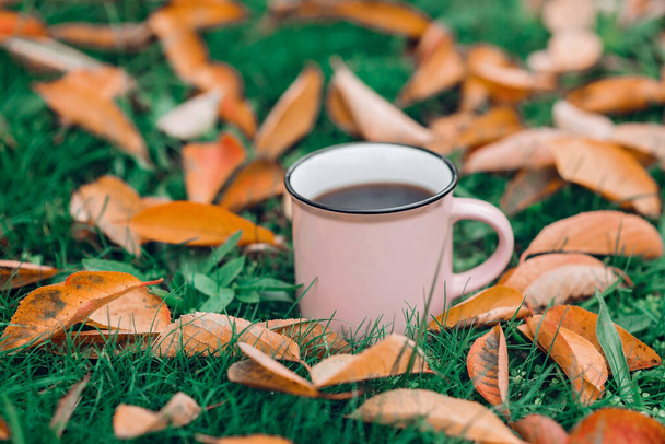 Κύπελλο με ζεστό μαύρο τσάι μεταξύ πεσμένα φύλλα του φθινοπώρου. - Φωτογραφία, εικόνα