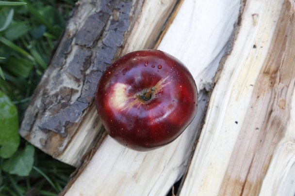 Des pommes rouges gisent sur les bois de chauffage
 - Photo, image
