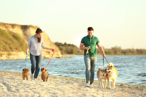 Young couple walking their adorable dogs near river - Foto, immagini