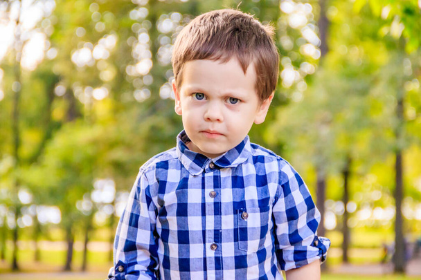 Portrait of little boy in shirt walking in park - 写真・画像
