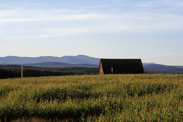 Farm Building In Open Meadow - Φωτογραφία, εικόνα
