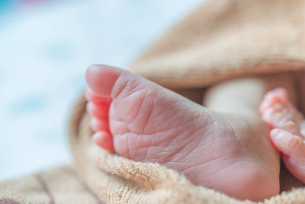 Closeup feet of baby is sleeping - Fotografie, Obrázek