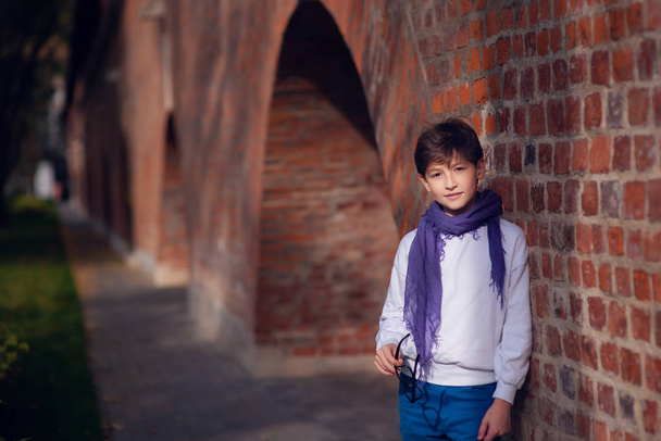 portrait of a cute boy on the background of the autumn city - Φωτογραφία, εικόνα
