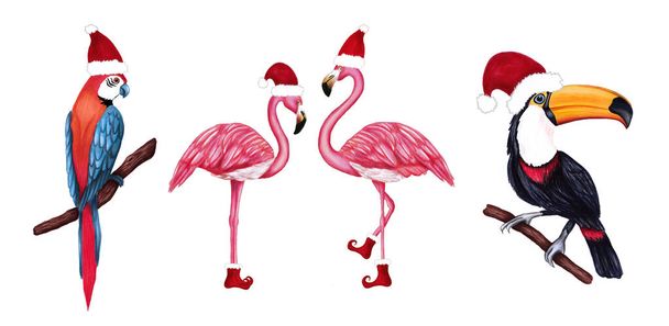 Set of winter tropical birds toucan, parrot and flamingo in Santa hat and shoes. Christmas design for cards, fabric, wrapping paper. Merry Christmas and Happy New Year vertical greeting card. - Фото, изображение