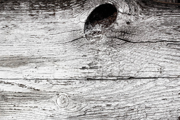 Texture of old wood, covered with white paint. Cut a tree in a cut. Vintage tree. - Photo, Image
