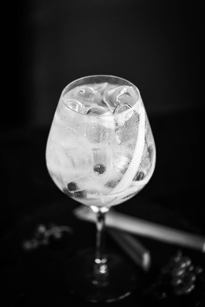 tonický gin s čerstvou rebarborou  - Fotografie, Obrázek