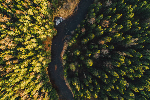 Luftaufnahme auf grünen Waldbäumen und Fluss, Natur Textur Hintergrund  - Foto, Bild