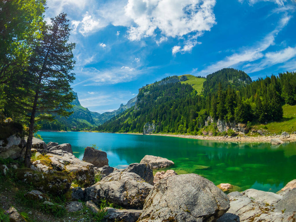 美しい山の湖の夏の風景 - 写真・画像