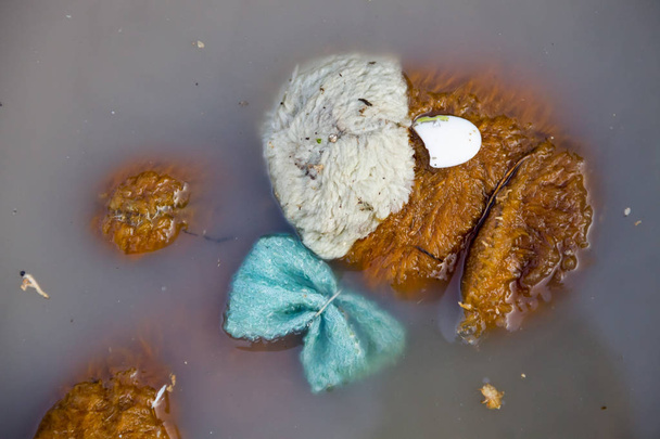 Kirli suda terk edilmiş bir oyuncak bebek. Doğal afet kavramı - Fotoğraf, Görsel