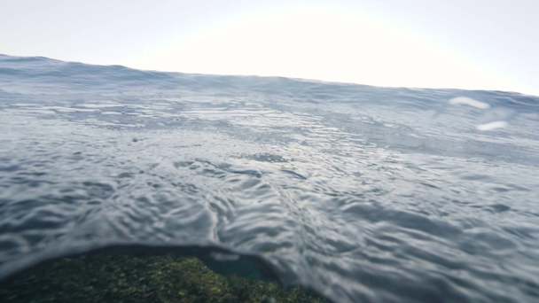 A paisagem marinha sobre e sob a superfície do mar com ondas e raios solares
 - Filmagem, Vídeo