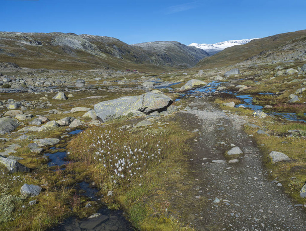 Autumn view on red Krossbu tourist station mountain hut buildings from hike to glacier Smorstabbreen with blue creek stream, snow-capped mountains and orange moss and heath in Jotunheimen National Par - 写真・画像