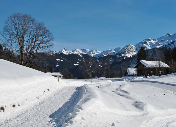 winter landschap in braunwald, Kanton glarus - Foto, afbeelding