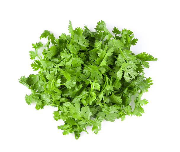 coriander leaf isolated on white background. top view - Photo, Image