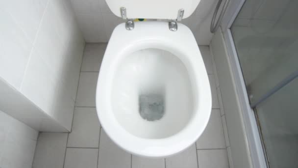 enjuague del wc
 - Metraje, vídeo