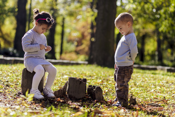 litle chłopiec i dziewczynka w lesie jesienią - Zdjęcie, obraz