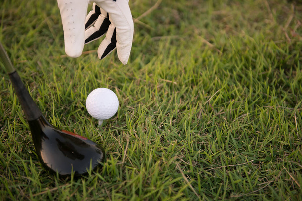 Close up mão de golfista colocar golfe de grama, povo da Tailândia
 - Foto, Imagem