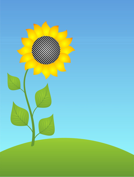 Sunflower - Vector, afbeelding