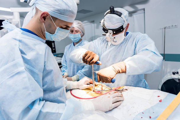 Операция на позвоночнике. Группа хирургов в операционной с хирургическим оборудованием. Ламинэктомия. Современное медицинское образование
 - Фото, изображение