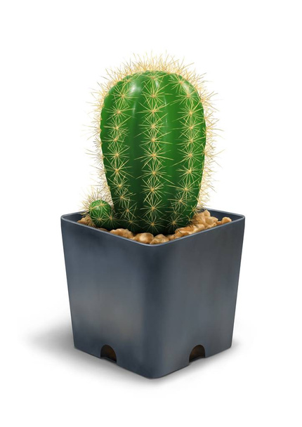 De digitale schilderkunst van de kleine groene cactus met plastic bloempot geïsoleerd op witte achtergrond in semi-realisme 3d illustratie stijl. - Foto, afbeelding
