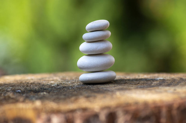 Bílé kameny cairn, vyrovnané lehké oblázky na dřevěném pařezu před zeleným přírodním pozadím, zen jako, harmonie a rovnováha - Fotografie, Obrázek