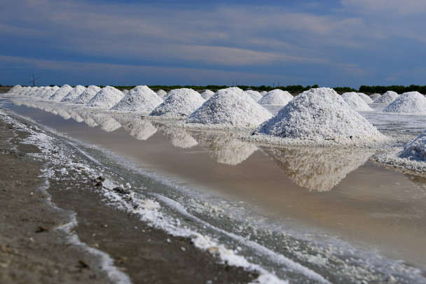 benim tuz tuz çiftlik ve yansımalar - Fotoğraf, Görsel