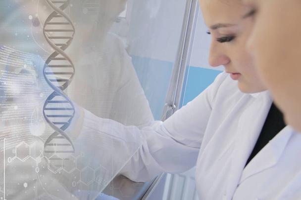 Две молодые женщины-лаборантки работают в лаборатории с тестами  - Фото, изображение