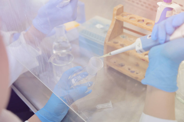 Deux jeunes scientifiques de laboratoire travaillant au laboratoire avec des éprouvettes a - Photo, image
