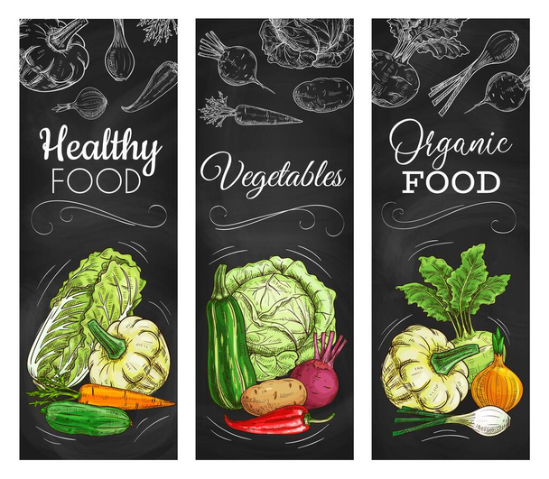 キャベツ、ニンジン、ブラックボード上のコショウ野菜 - ベクター画像