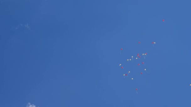schöne Heliumballons fliegen durch die Luft. viele bunte Ballons, die in der Luft fliegen. Urlaubskonzept - Filmmaterial, Video