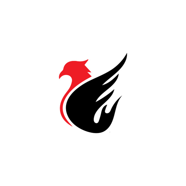 Falcon Eagle Bird logo şablon vektörü - Fotoğraf, Görsel