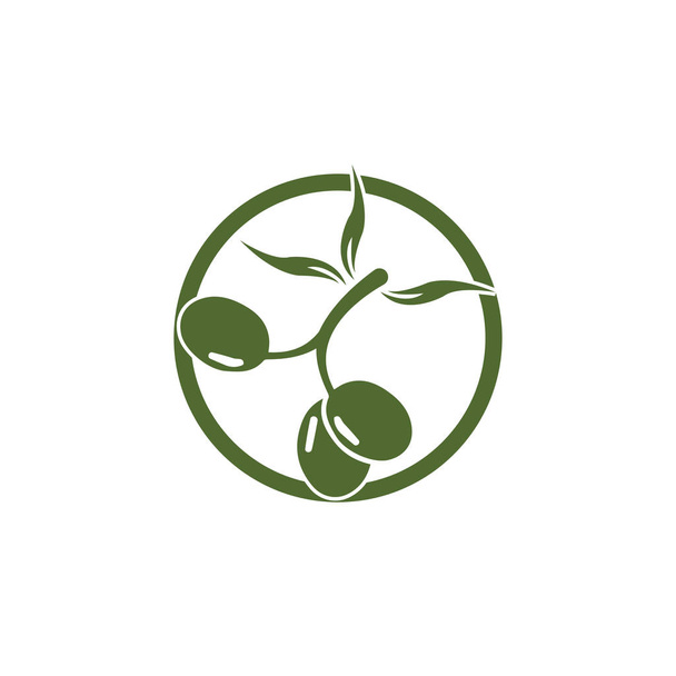 Olive Logo Vorlage Vektor Symbol Illustration Design - Foto, Bild
