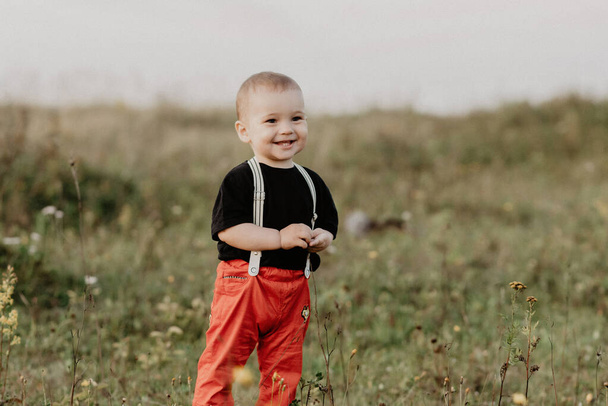 happy cute little baby boy smiling in autumn field - Фото, изображение