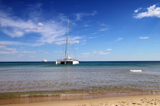 witte catamaran in de buurt van het strand - Foto, afbeelding