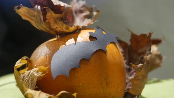 Orange pumpkins with Halloween symbols in a street cafe window.  Black paper bat - Footage, Video