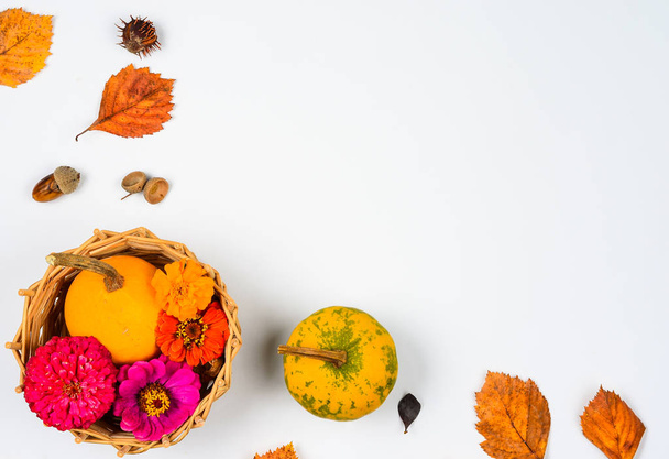 Autumn  composition  background . Frame  of  wooden basket   with yellow  pumpkins,  red flowes   and  orange   leaves    on white backdrop   with  empty  center space for    text .Top view, copy spac - Foto, Imagem