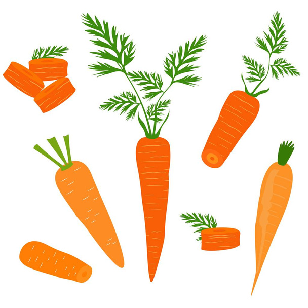 Σετ εικόνων με καρότα. Διάνυσμα κλιματισμός των οικολογικών λαχανικών. - Διάνυσμα, εικόνα
