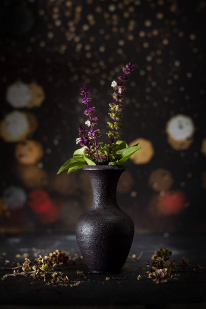 vase pottery - still life vase basil. Art style basil- flowers basil wonderful decoration of interior. - Image - Fotó, kép