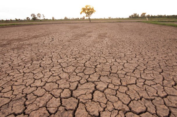 Η γη είναι ραγισμένη λόγω της ξηρασίας της υπερθέρμανσης του πλανήτη και El Nio. - Φωτογραφία, εικόνα