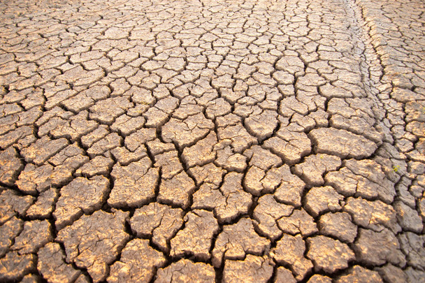 La tierra está agrietada debido a la sequía del calentamiento global y El Nio
. - Foto, Imagen