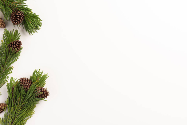 Minimal Christmas concept. Spruce branches with cones, on a white background. Flat lay, top view, copy space. - Foto, immagini