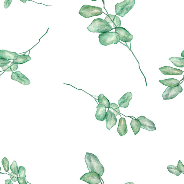 緑の葉、白を基調としたユーカリの枝のシームレスな水彩画-ヴィンテージスタイルで水彩画. - 写真・画像