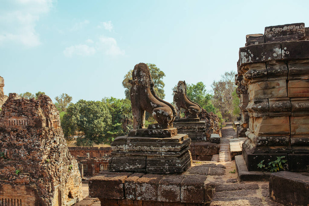 Angkor Wat Temple in Cambodia near Siem Reap city in Asia - Фото, зображення