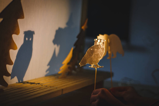 teacher do a shadow play owl in kindergarten or preschool. child play concept shadow pantomime shadowgraph for children - Photo, Image