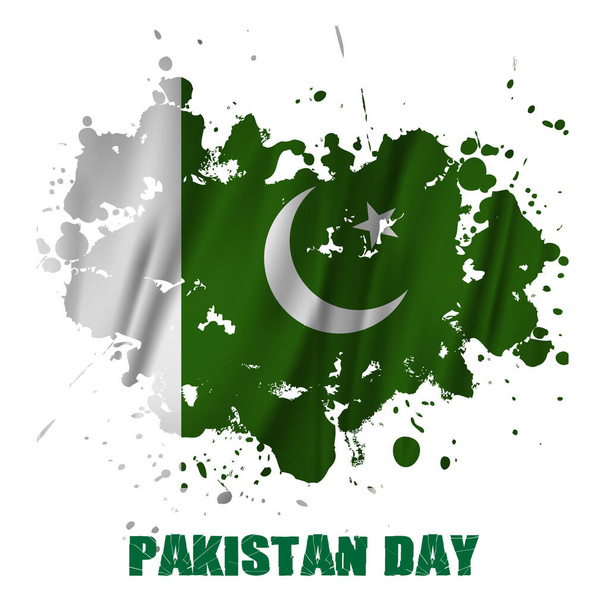 Pakistan bayrağı, beyaz arkaplanlı fırça darbesi izole edilmiş çok tip fırça dokusu. - Vektör, Görsel