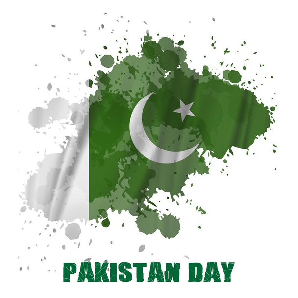 Pakistan bayrağı, beyaz arkaplanlı fırça darbesi izole edilmiş çok tip fırça dokusu. - Vektör, Görsel